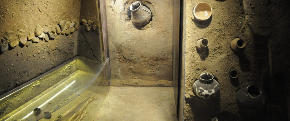 Wystawa archeologiczna „Najstarsze dzieje…” czeka na zwiedzających!